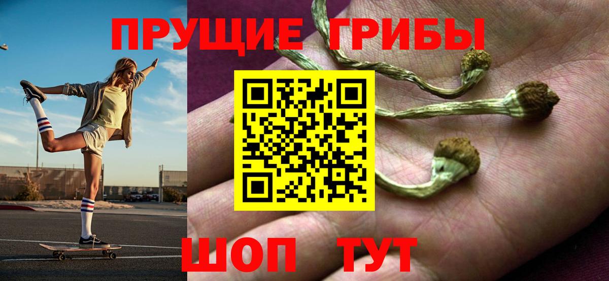 Псилоцибиновые грибы мухоморы  Вход с VPN  Богданович 