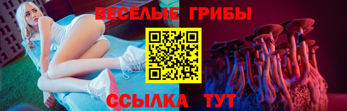Псилоцибиновые грибы Magic Shrooms Богданович