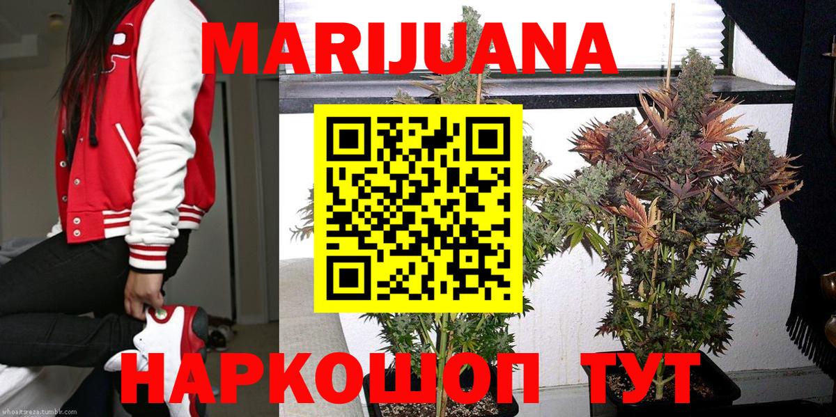 Бошки марихуана конопля Богданович